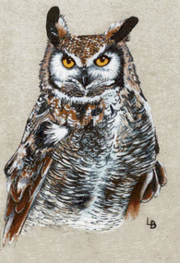 Сова - сова - предпросмотр