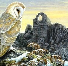 Схема вышивки «№662499»