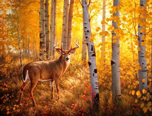 №662525 - оригинал