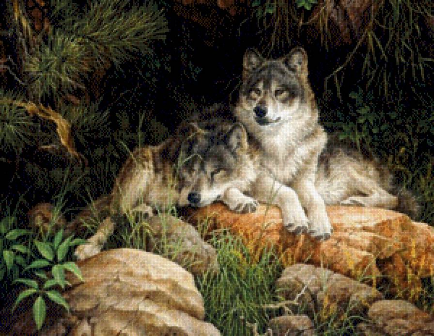 №662529 - предпросмотр