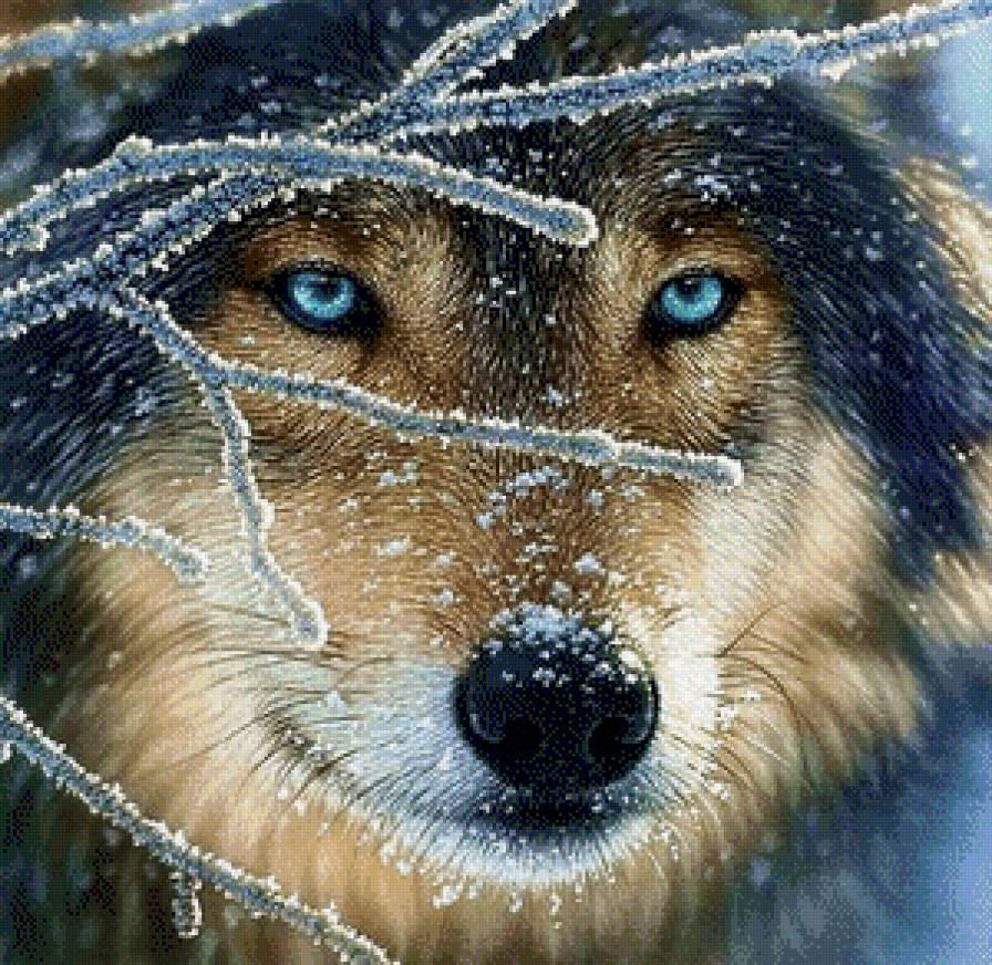 №662531 - предпросмотр