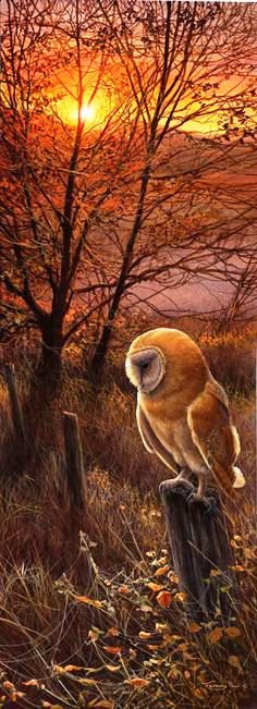 №662532 - оригинал