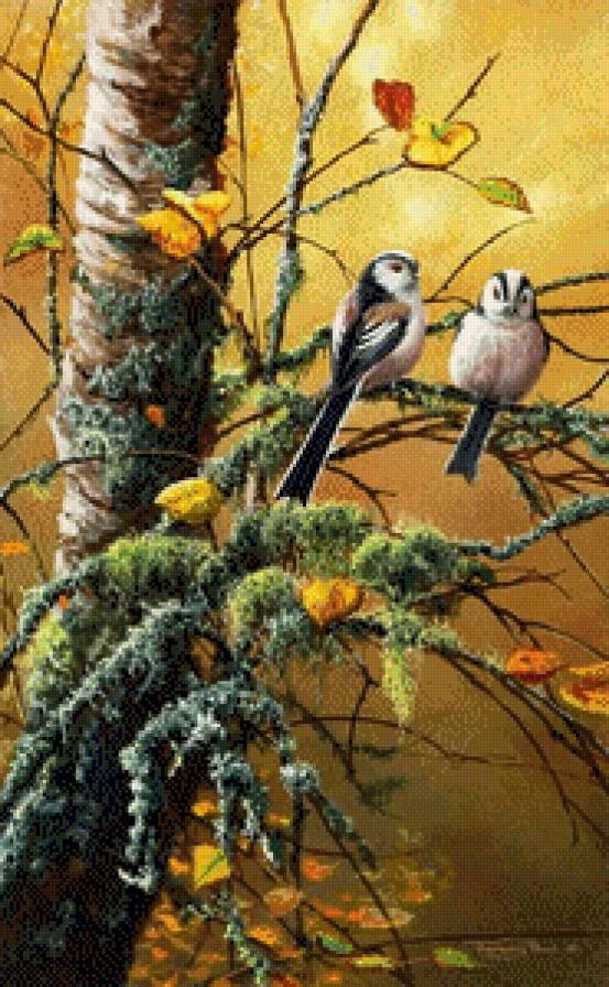 №662535 - предпросмотр