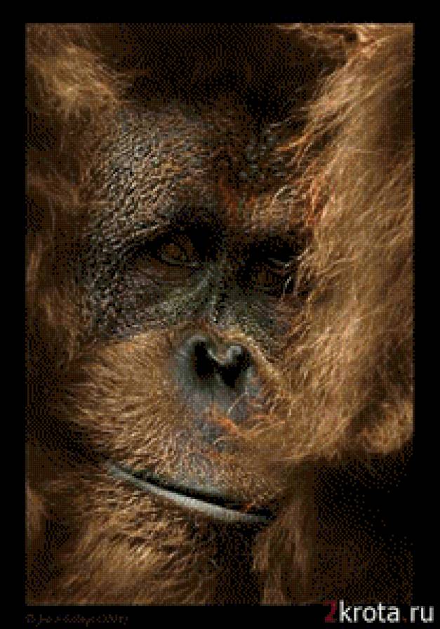 №662551 - предпросмотр