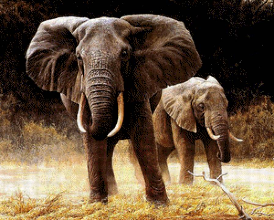 №662555 - предпросмотр