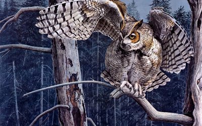 №662563 - оригинал