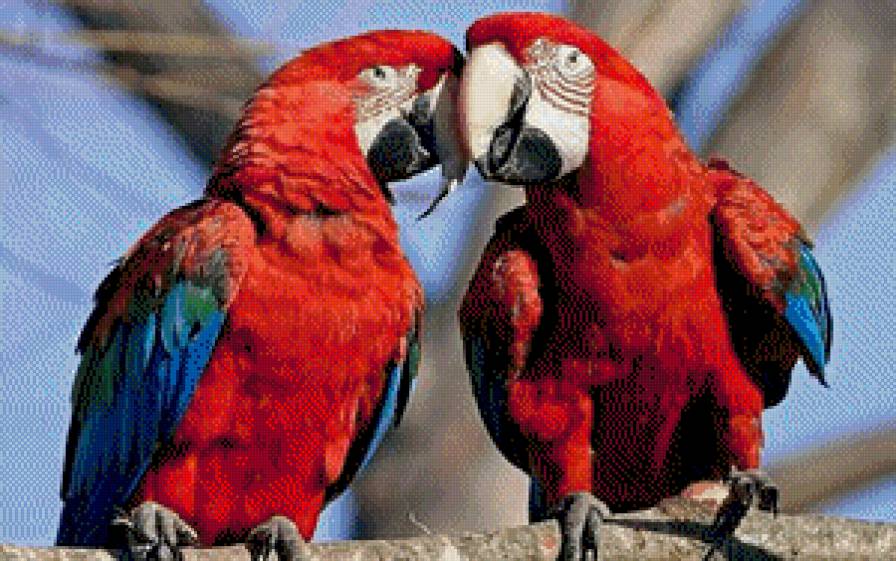 №662567 - предпросмотр