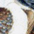 Предпросмотр схемы вышивки «№662577»