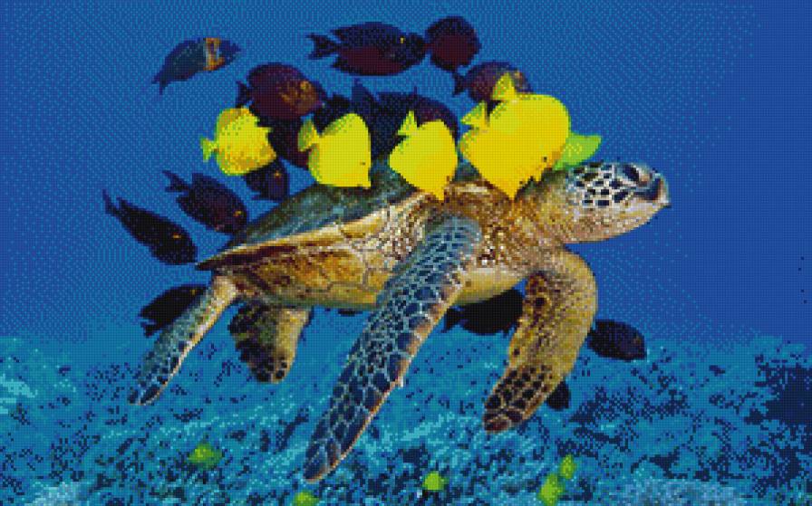 подводный мир - морское - предпросмотр