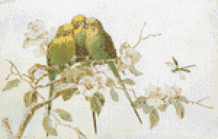 попугаи - предпросмотр