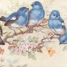 Оригинал схемы вышивки «синие птички» (№662778)