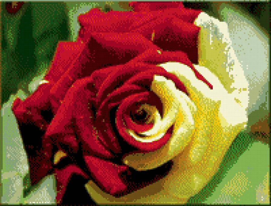 розочка - розы, цветы - предпросмотр