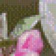 Предпросмотр схемы вышивки «птичка» (№662858)