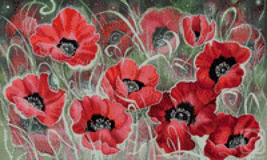 маковое поле - предпросмотр