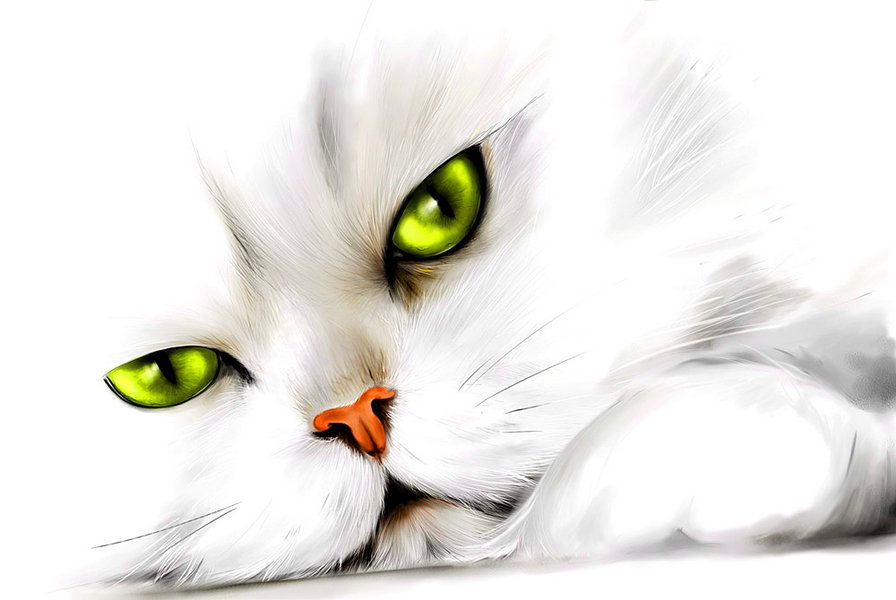 Белый и пушистый - глаза, кот, взгляд, звери, животные - оригинал