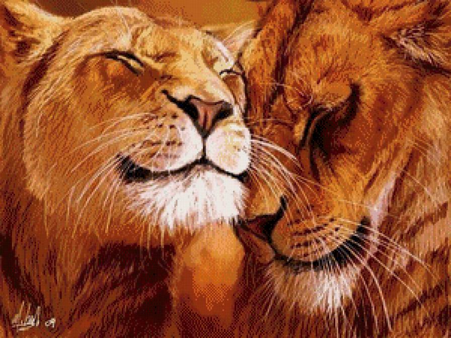 львы - предпросмотр