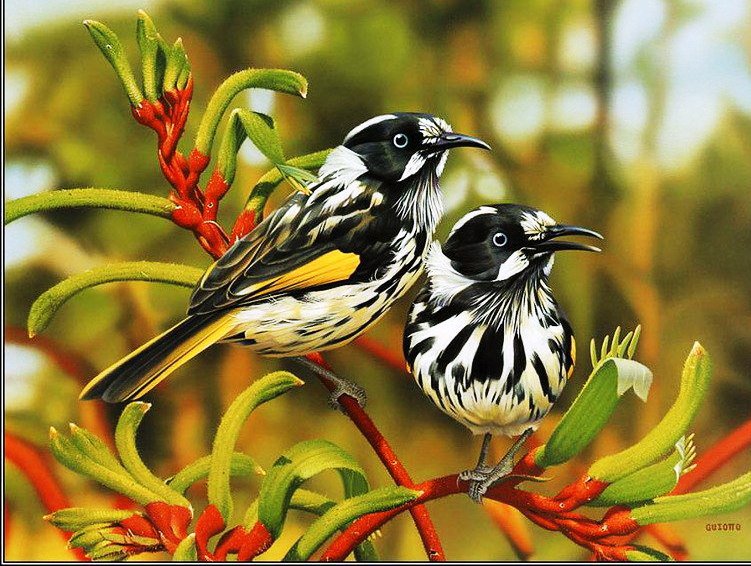 семья - птицы - оригинал