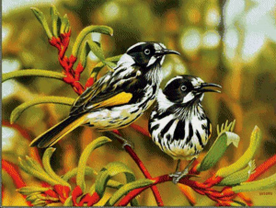 семья - птицы - предпросмотр