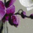 Предпросмотр схемы вышивки «орхидеи» (№663591)