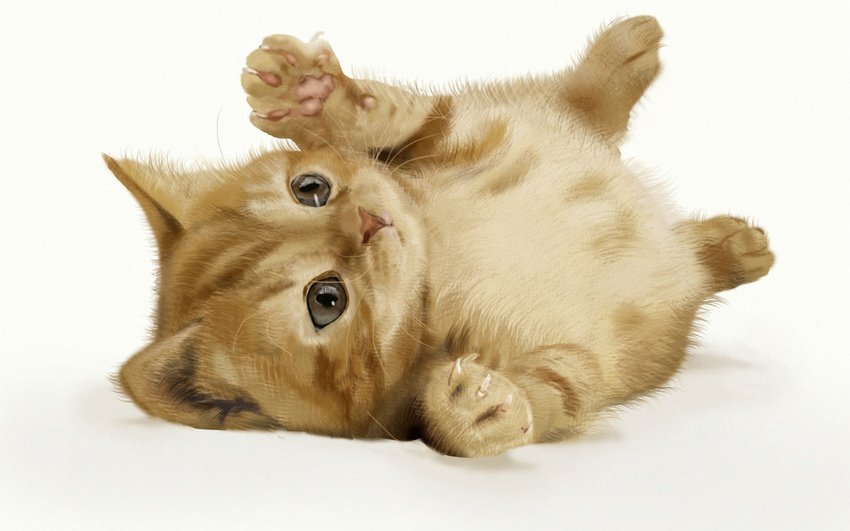 Котёнок - оригинал