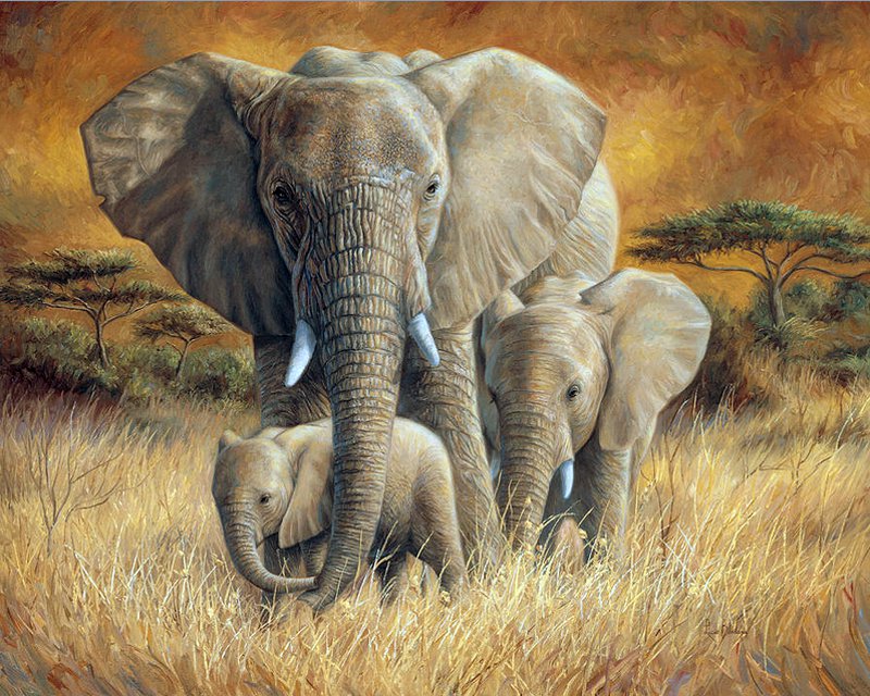 Животные планеты - слоны - оригинал