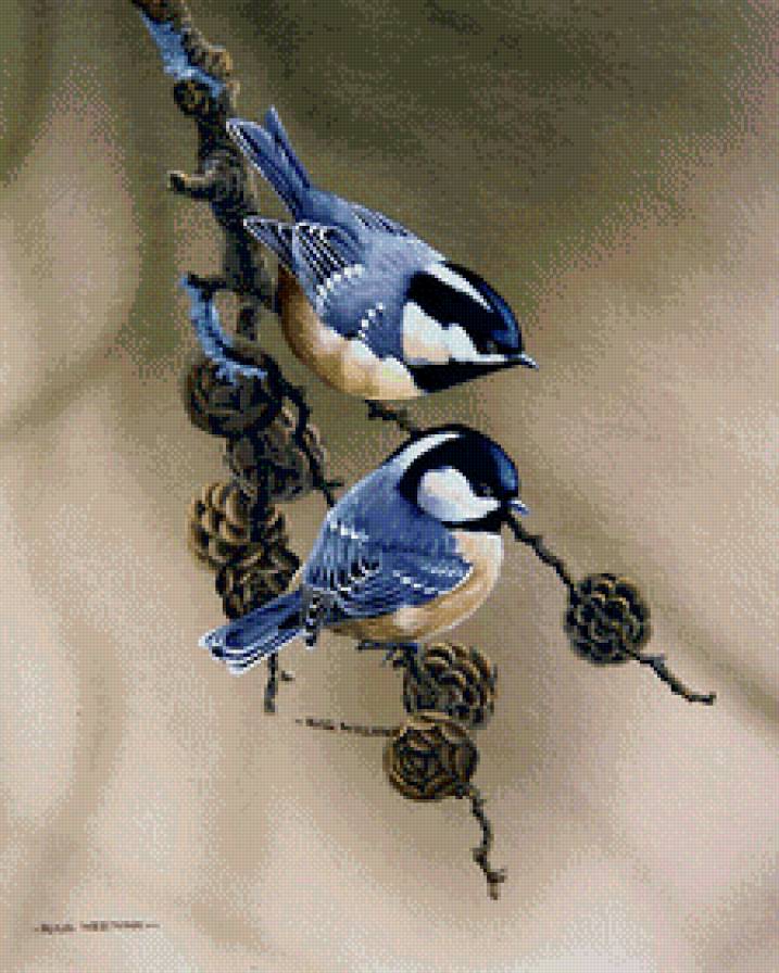 Пернатые - птицы - предпросмотр