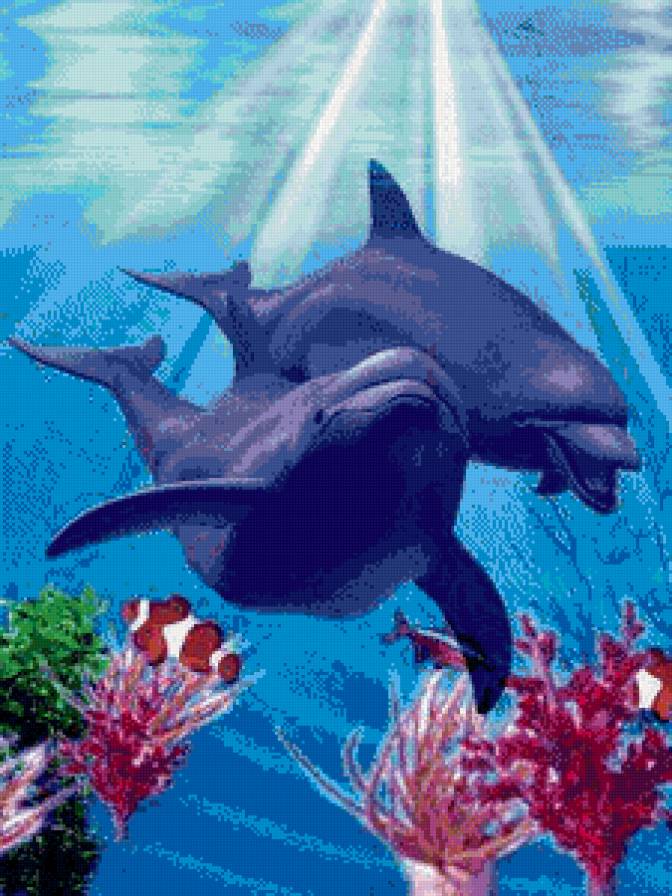 Дельфины - дельфины, любовь, природа - предпросмотр