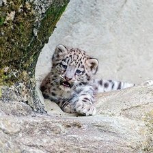 Схема вышивки «Природа»