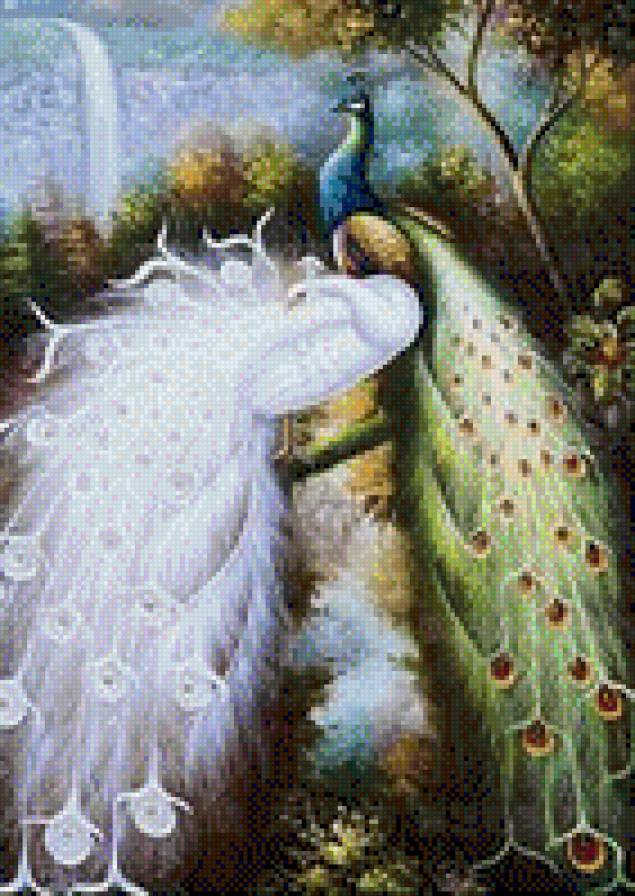 Павлины - павлины, птицы - предпросмотр