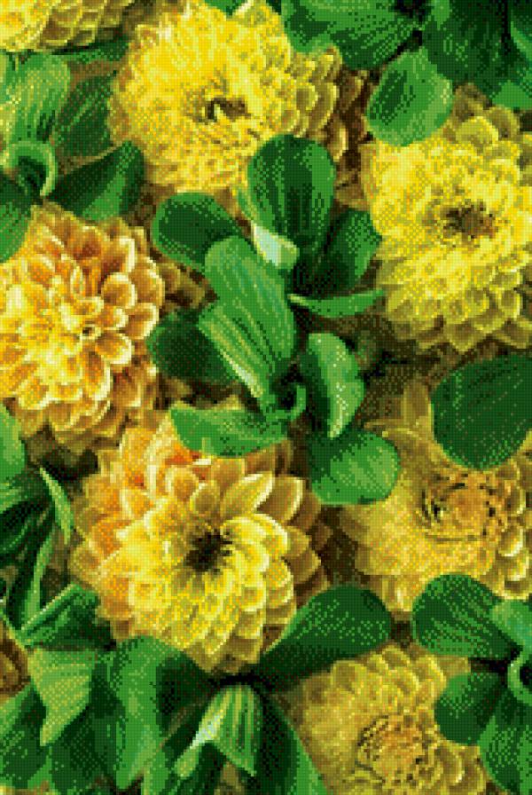 Желтые георгины. Эффект 3d. - георгины, объем, желтый, цветы - предпросмотр