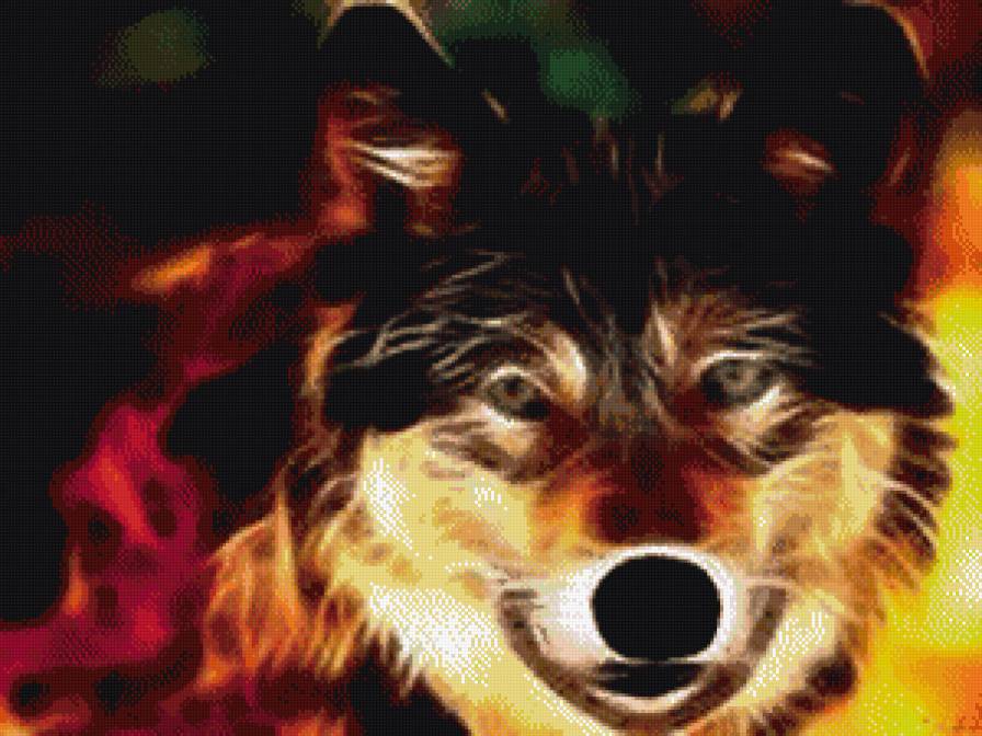 волк - животные - предпросмотр