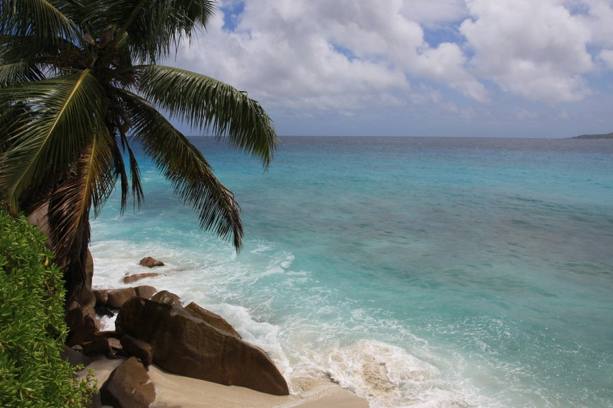 на берегу - природа - оригинал