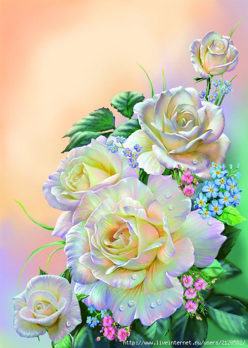 розы - цветы - оригинал