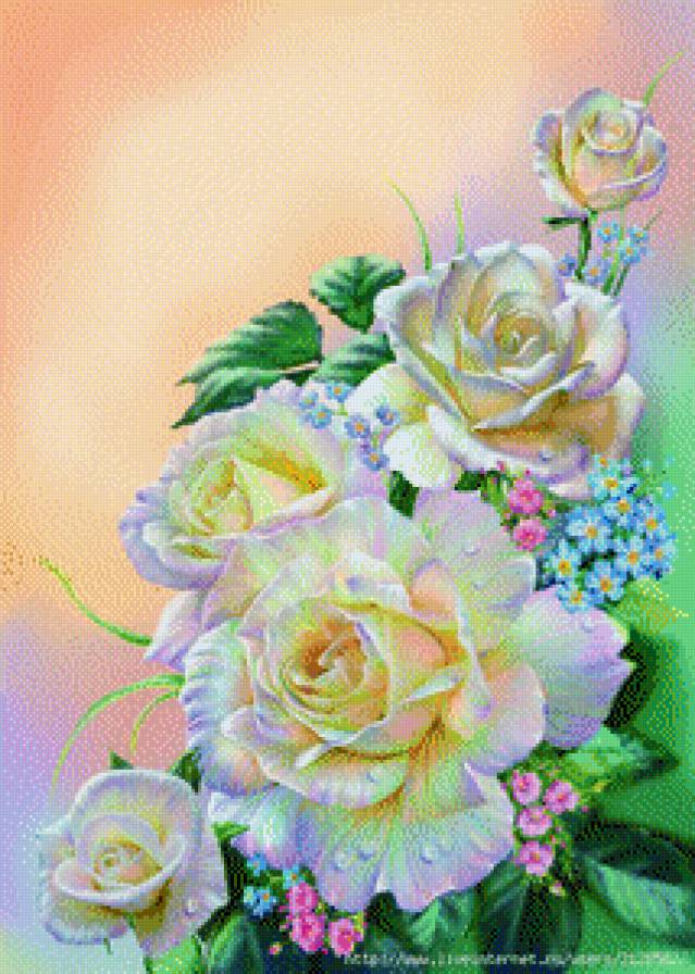 розы - цветы - предпросмотр