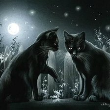 Схема вышивки «2239»