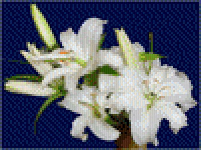 ЛІЛІЇ2 - квіти - предпросмотр