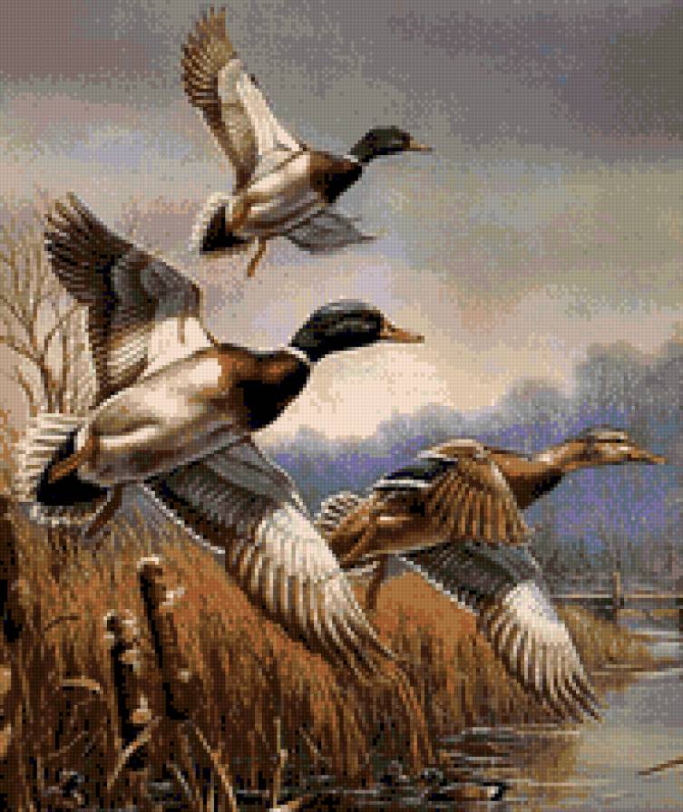 №664379 - предпросмотр