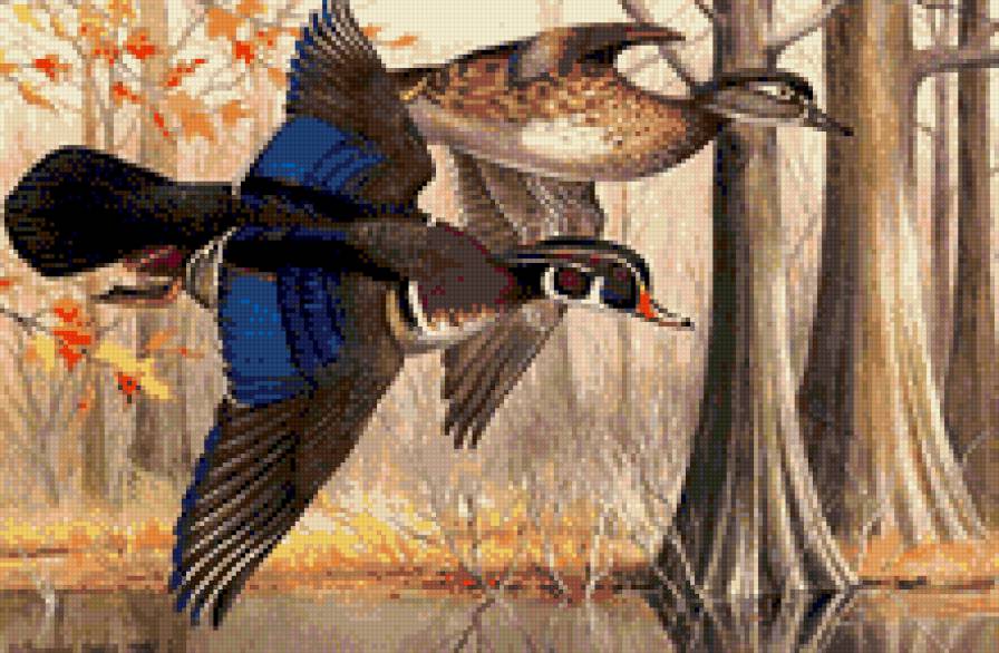 №664380 - предпросмотр