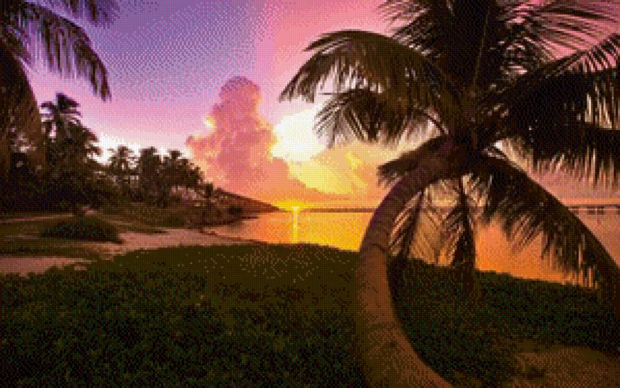 Закат - море, пейзаж, пальмы, закат - предпросмотр