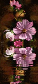 №664486 - оригинал