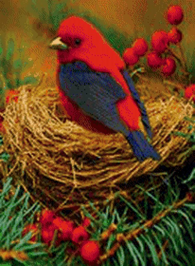 красная птица - гнездо, птица - предпросмотр