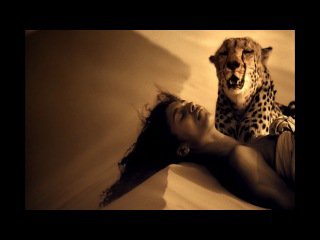 девушка на песке - люди, девушка, дюна, песок, хишник - оригинал