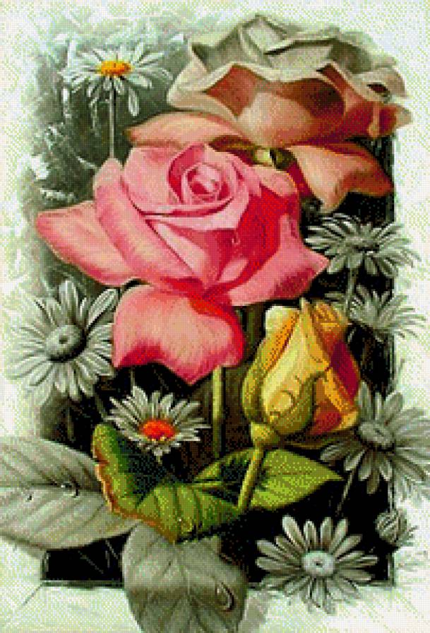 розы - цветы - предпросмотр