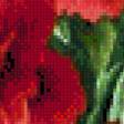 Предпросмотр схемы вышивки «красные цветы» (№664721)