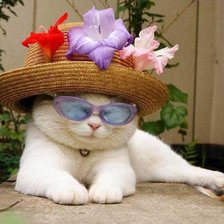 Схема вышивки «Модница»