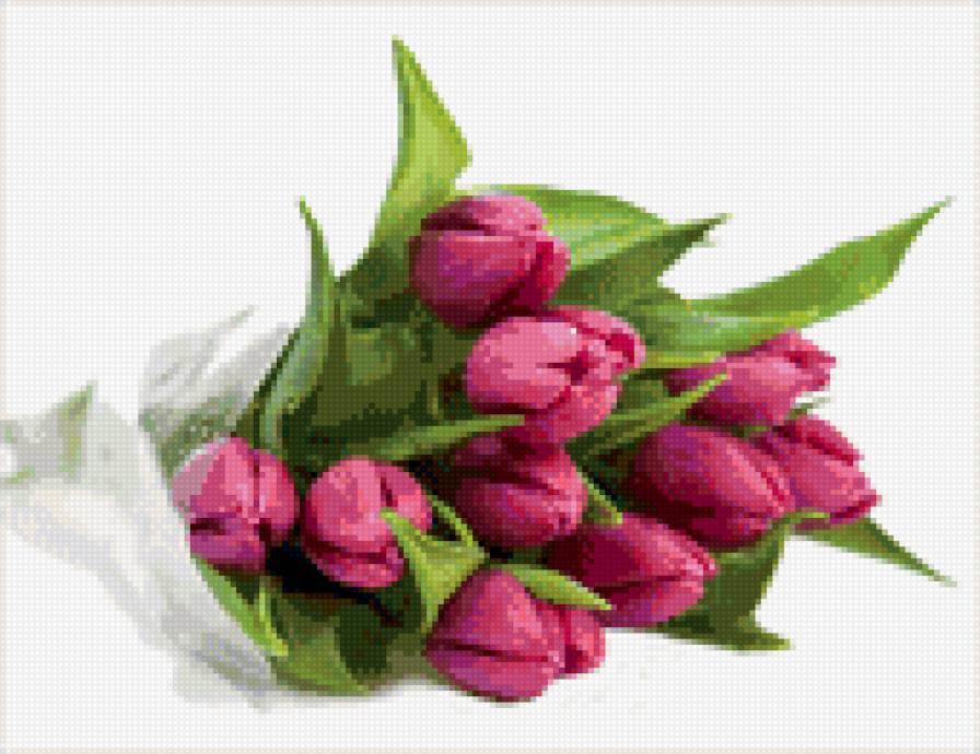 Тюльпаны - тюльпаны, букет, цветы - предпросмотр