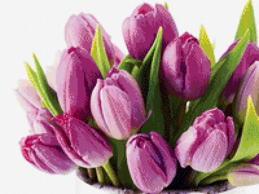 Тюльпаны - тюльпаны, цветы, букет - предпросмотр