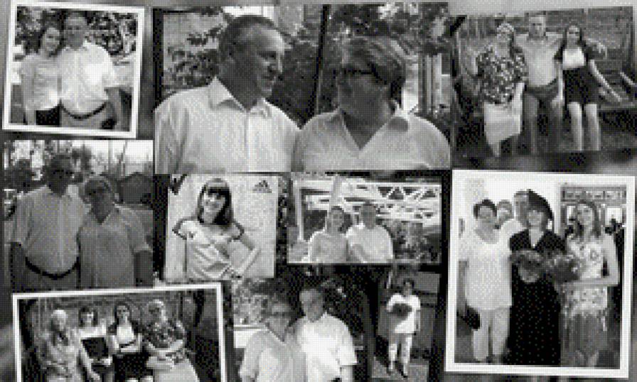 we - предпросмотр