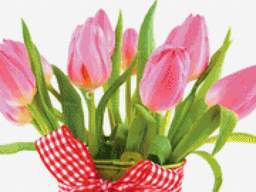 Тюльпаны - тюльпаны, цветы, букет - предпросмотр
