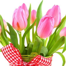 Схема вышивки «Тюльпаны»